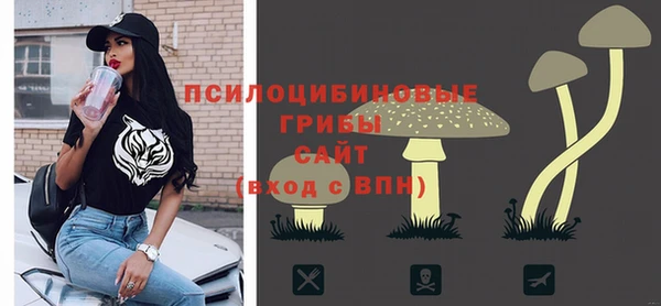 СК Аркадак