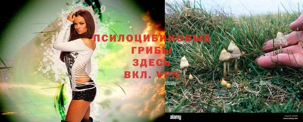 кокаин премиум Алзамай