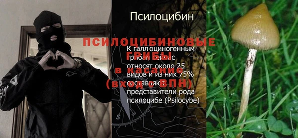 a pvp Алексеевка