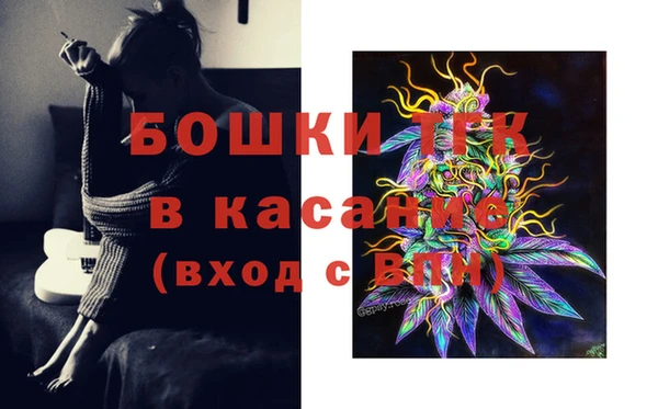СК Аркадак