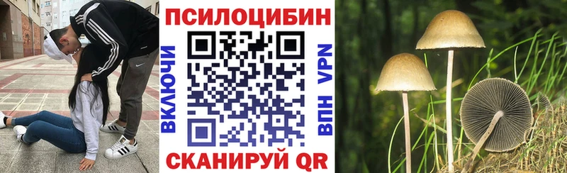 Галлюциногенные грибы Cubensis  цена наркотик  гидра ТОР  дарк нет официальный сайт  Багратионовск 