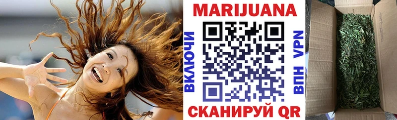 hydra как войти  Багратионовск  Каннабис ГИДРОПОН 